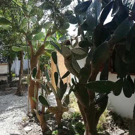 & Mare Apartamento *