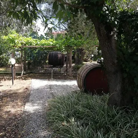 Διαμέρισμα & Mare Palmi