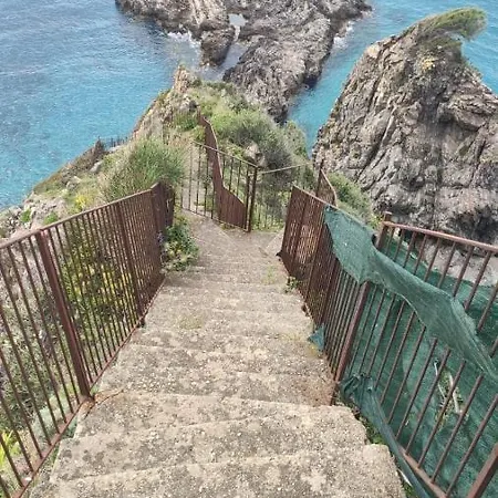 Apartment & Mare Palmi