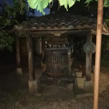 & Mare Διαμέρισμα Palmi