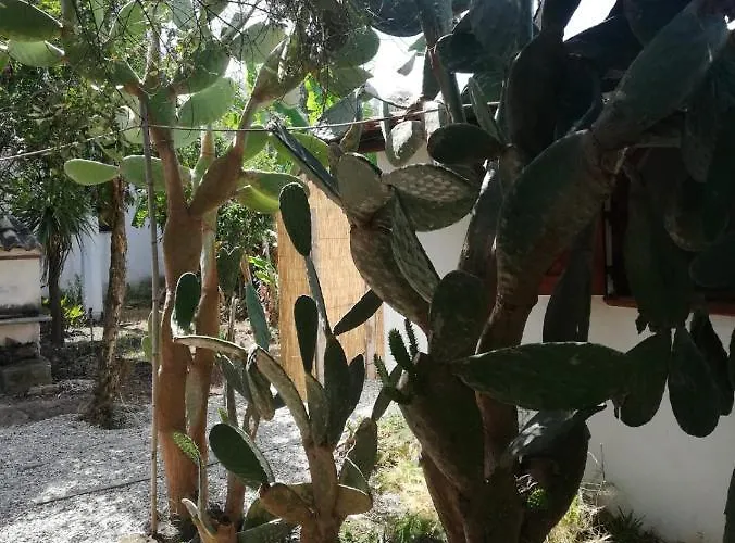 & Mare Apartamento *